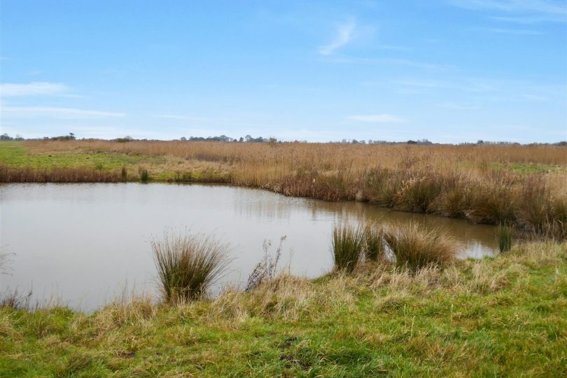 Lot 1 – Casa Mia, Gardens, Pond and Land (7.92 Ac), South Somercotes