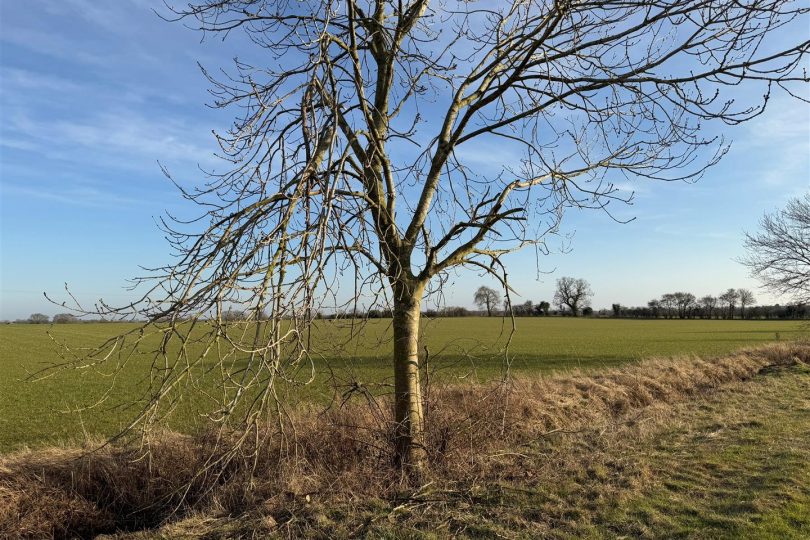 24.43 Acres Land, Platts Lane, Bucknall, Woodhall Spa