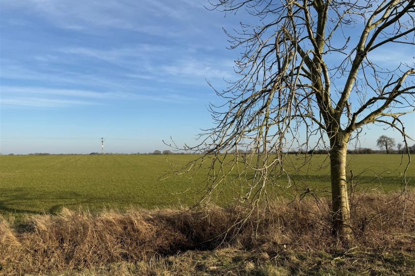 24.43 Acres Land, Platts Lane, Bucknall, Woodhall Spa