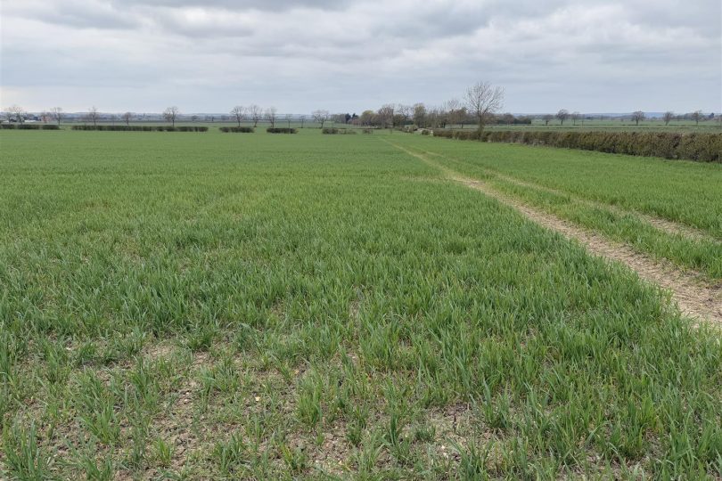 30.45 Acres Arable Land – South Kelsey, Market Rasen