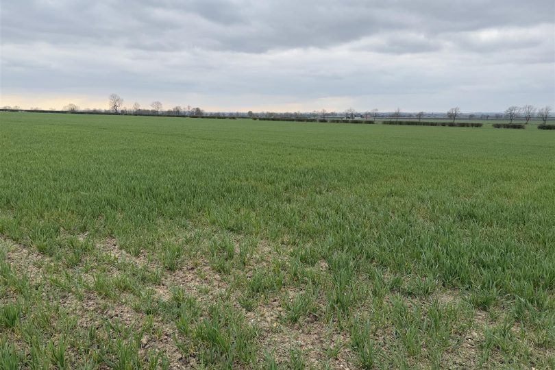 30.45 Acres Arable Land – South Kelsey, Market Rasen
