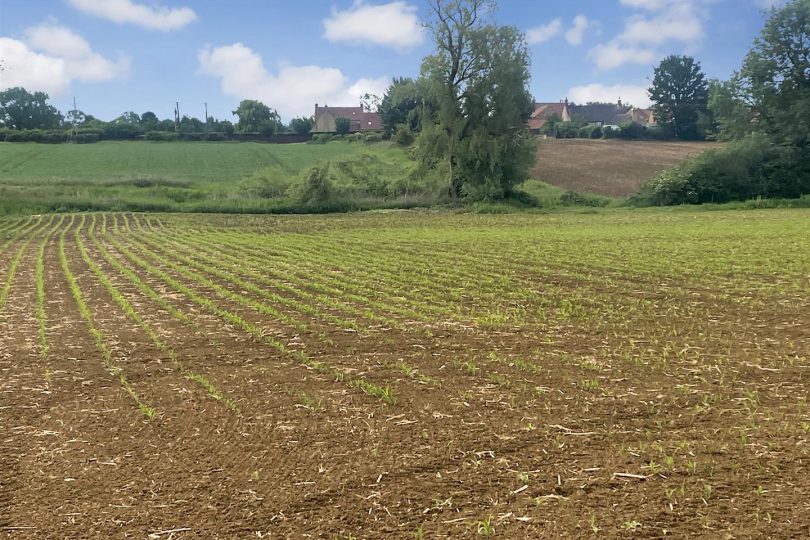 68.06 Acres – Land, Atterby, Market Rasen