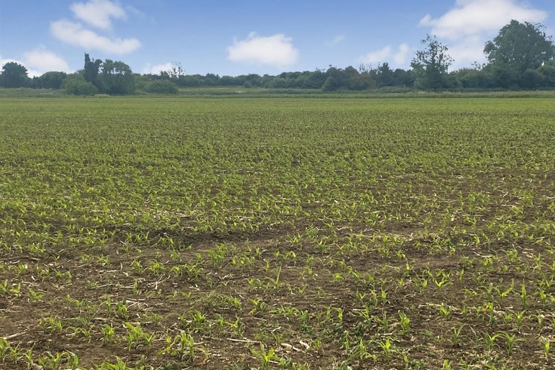68.06 Acres – Land, Atterby, Market Rasen