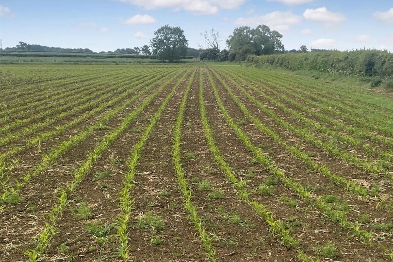 68.06 Acres – Land, Atterby, Market Rasen