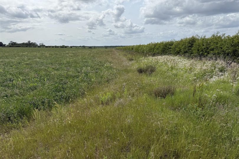 76.18 Acres Arable Land, Lincoln Lane, Middle Rasen, Market Rasen