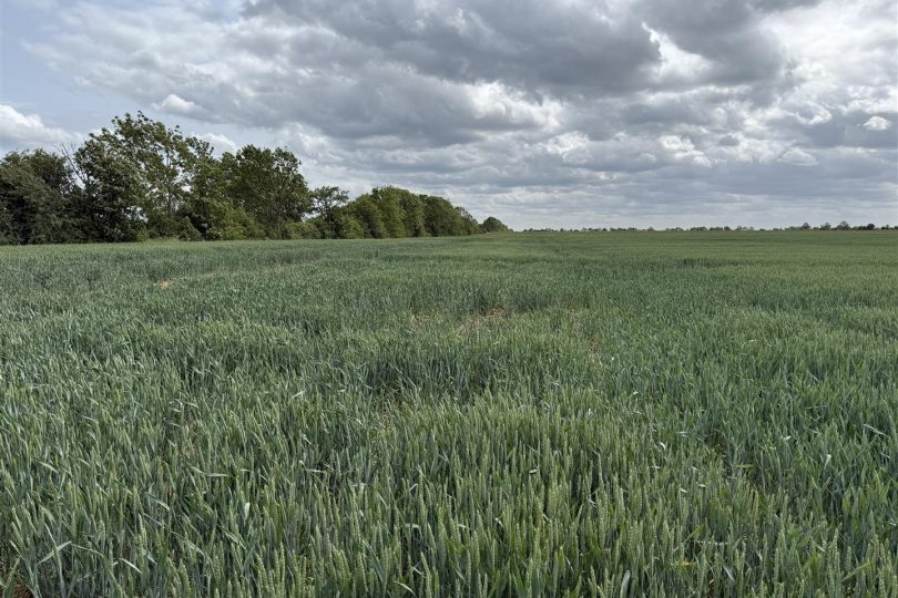 76.18 Acres Arable Land, Lincoln Lane, Middle Rasen, Market Rasen