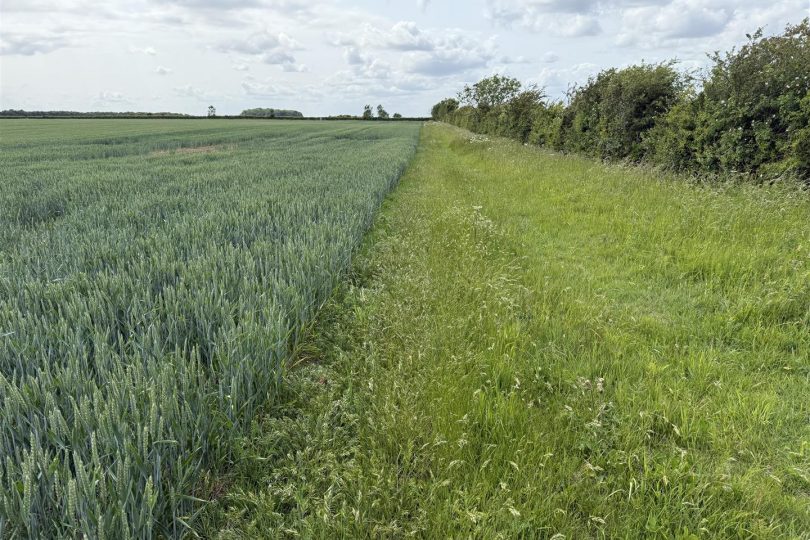 76.18 Acres Arable Land, Lincoln Lane, Middle Rasen, Market Rasen