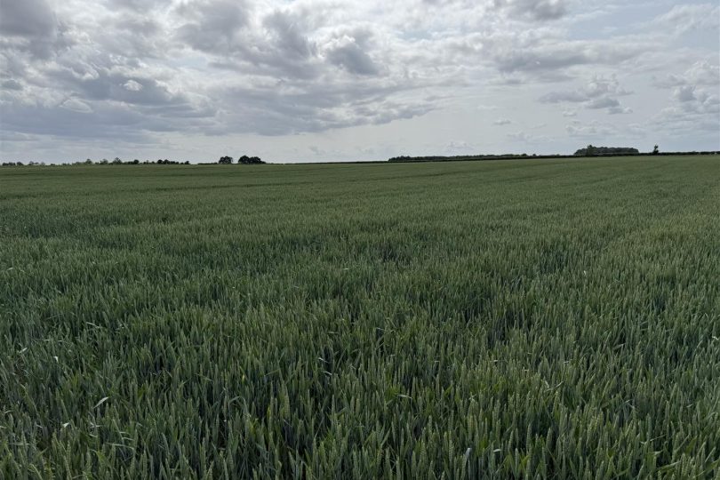 76.18 Acres Arable Land, Lincoln Lane, Middle Rasen, Market Rasen