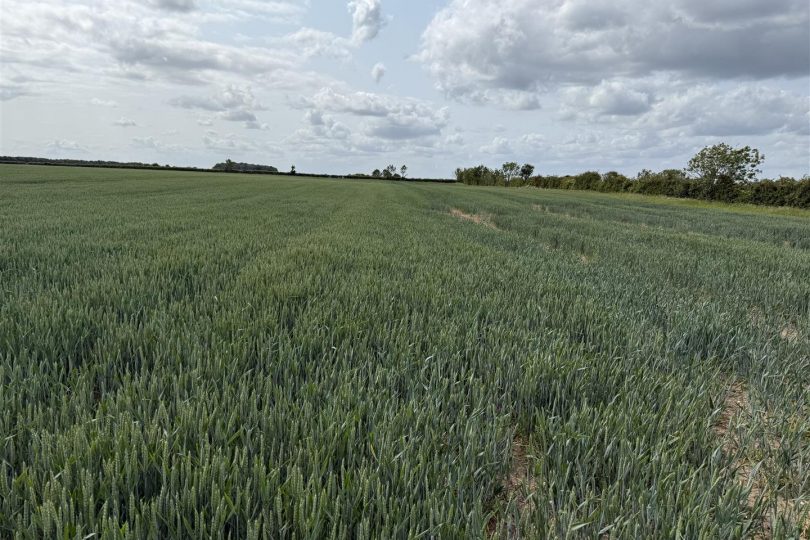 76.18 Acres Arable Land, Lincoln Lane, Middle Rasen, Market Rasen