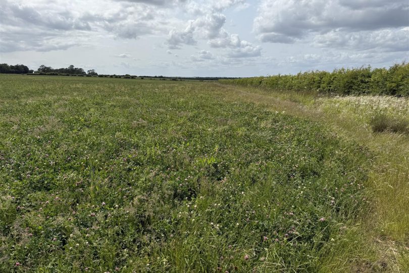 76.18 Acres Arable Land, Lincoln Lane, Middle Rasen, Market Rasen