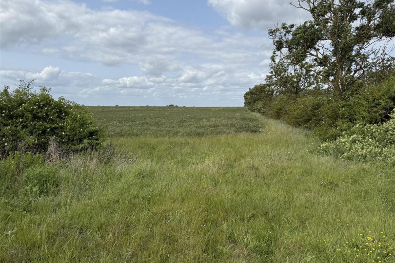 76.18 Acres Arable Land, Lincoln Lane, Middle Rasen, Market Rasen