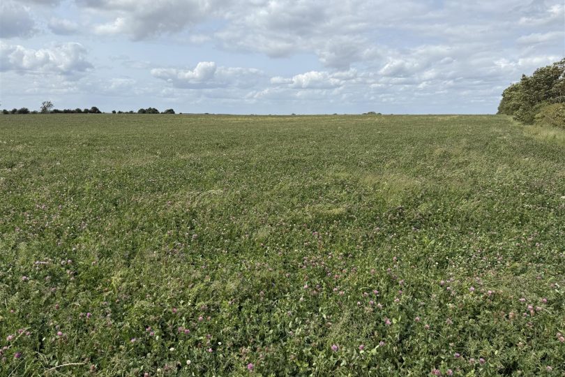 76.18 Acres Arable Land, Lincoln Lane, Middle Rasen, Market Rasen
