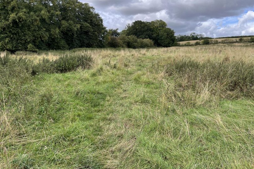 22.73 Acres Grassland – Orford Road, Stainton le Vale