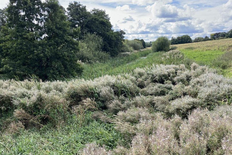 22.73 Acres Grassland – Orford Road, Stainton le Vale