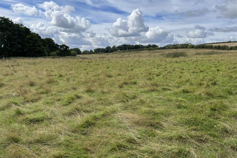 22.73 Acres Grassland – Orford Road, Stainton le Vale