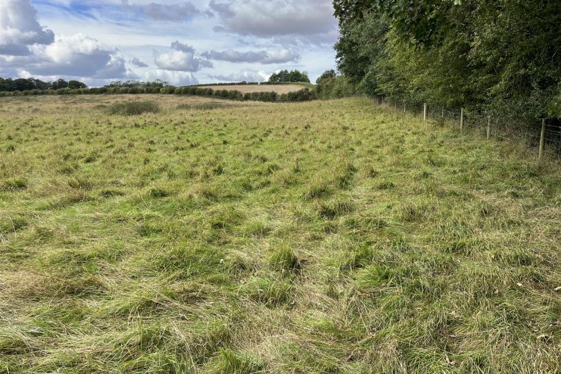 22.73 Acres Grassland – Orford Road, Stainton le Vale