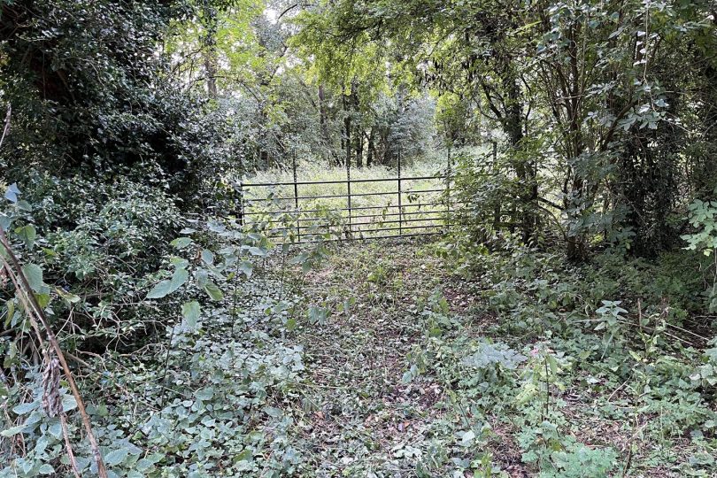22.73 Acres Grassland – Orford Road, Stainton le Vale