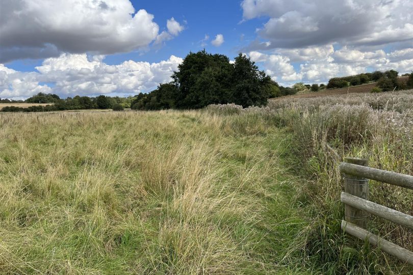 22.73 Acres Grassland – Orford Road, Stainton le Vale