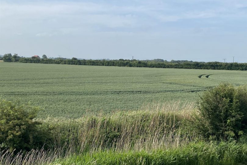 115.05 Acres Land – Goxhill, North Lincolnshire
