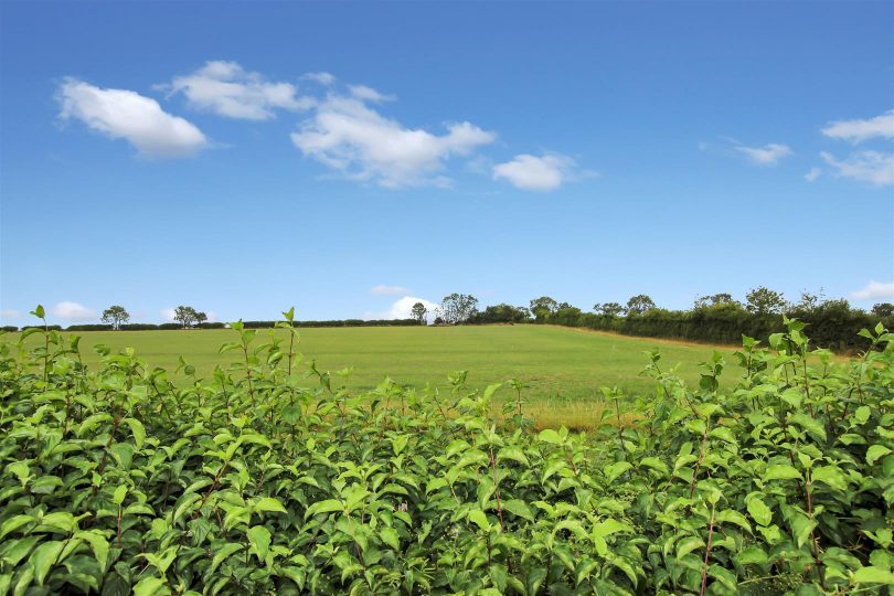 Owersby Moor, Market Rasen