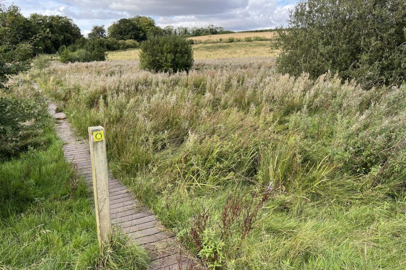 22.73 Acres Grassland – Orford Road, Stainton le Vale