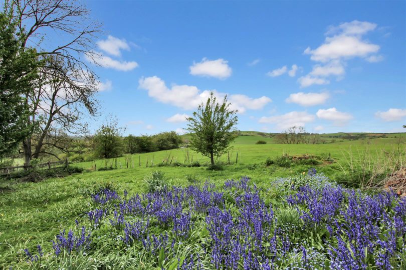 4.844 Acres – Otby Lane, Walesby, Market Rasen