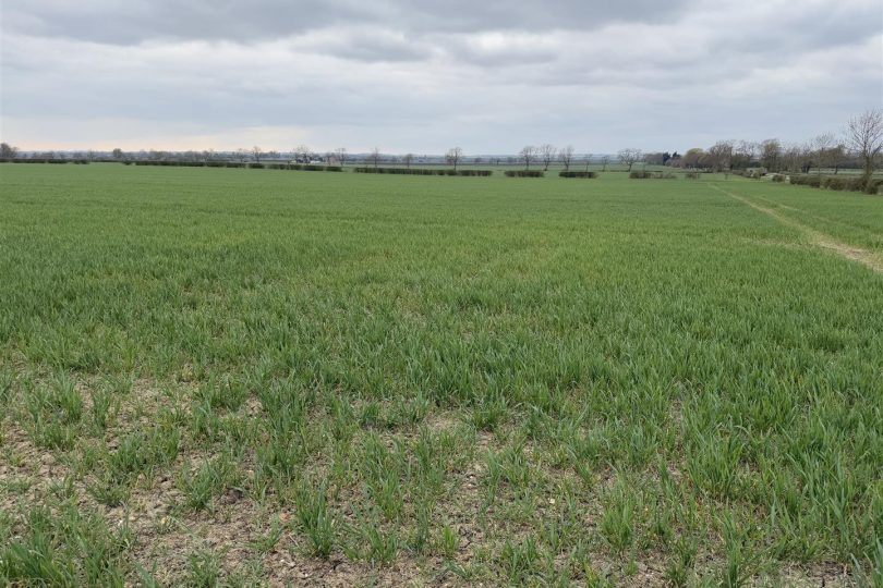 30.45 Acres Arable Land – South Kelsey, Market Rasen