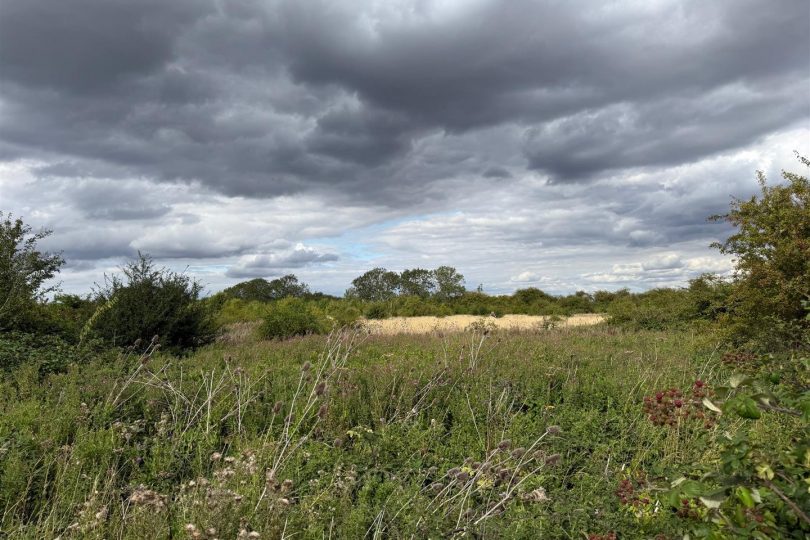 Lot 1 – 7.07 Acres Permanent Pasture, Marton, Gainsborough