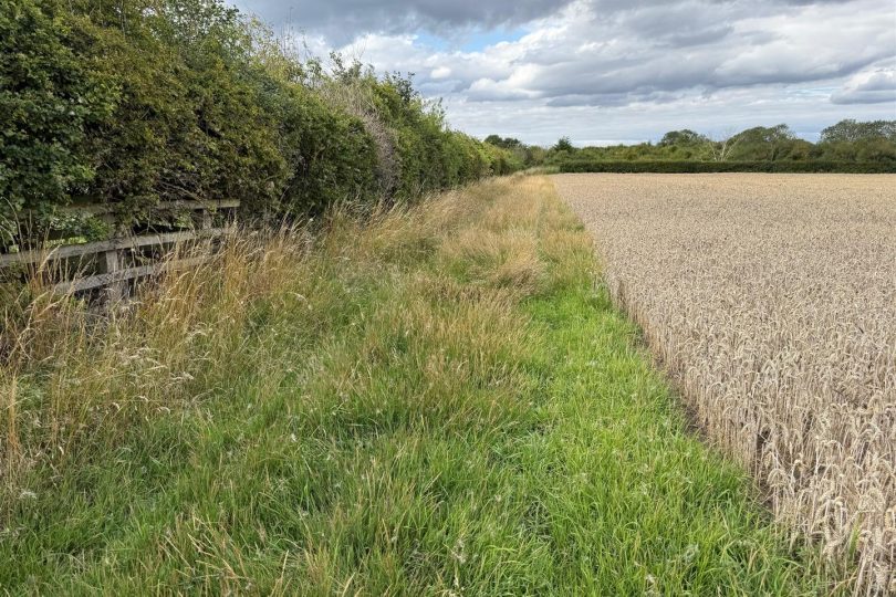 Lot 1 – 7.07 Acres Permanent Pasture, Marton, Gainsborough