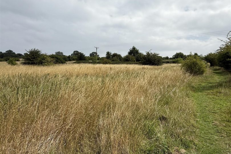 Lot 2 – 31.60 Acres Permanent Pasture, Marton, Gainsborough
