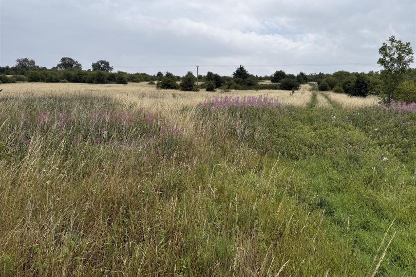 Lot 2 – 31.60 Acres Permanent Pasture, Marton, Gainsborough