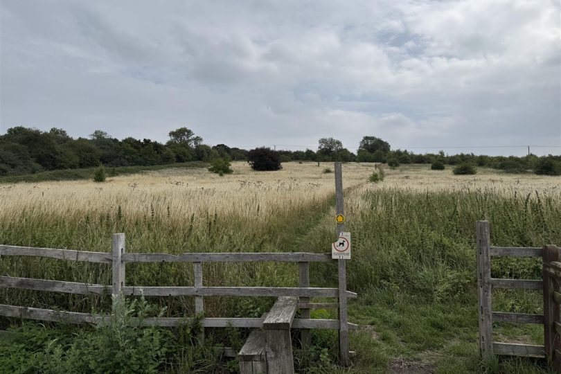 Lot 2 – 31.60 Acres Permanent Pasture, Marton, Gainsborough