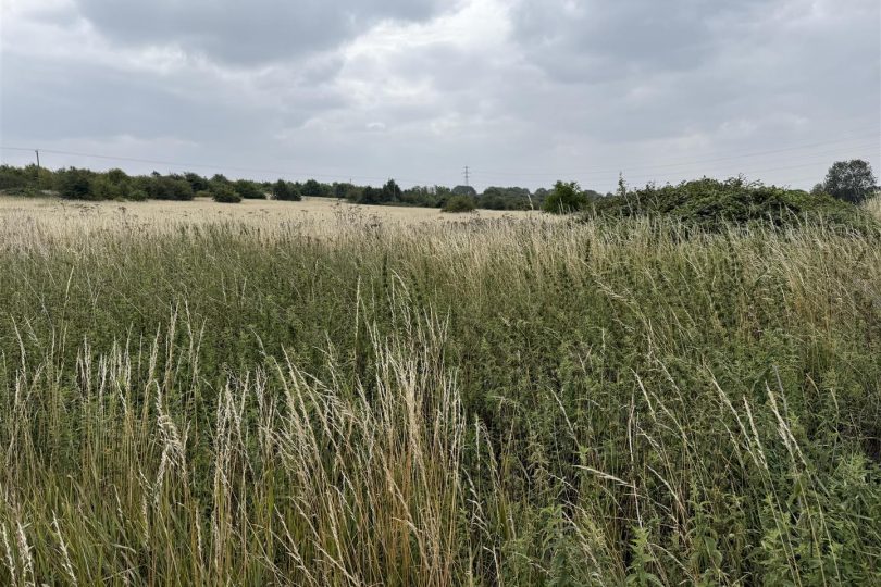 Lot 2 – 31.60 Acres Permanent Pasture, Marton, Gainsborough
