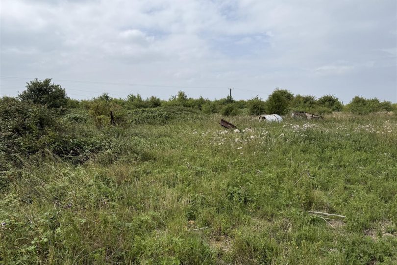 Lot 2 – 31.60 Acres Permanent Pasture, Marton, Gainsborough