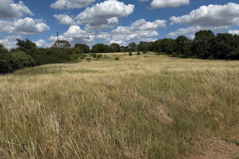46.68 Acres Agricultural Land, Marton, Gainsborough