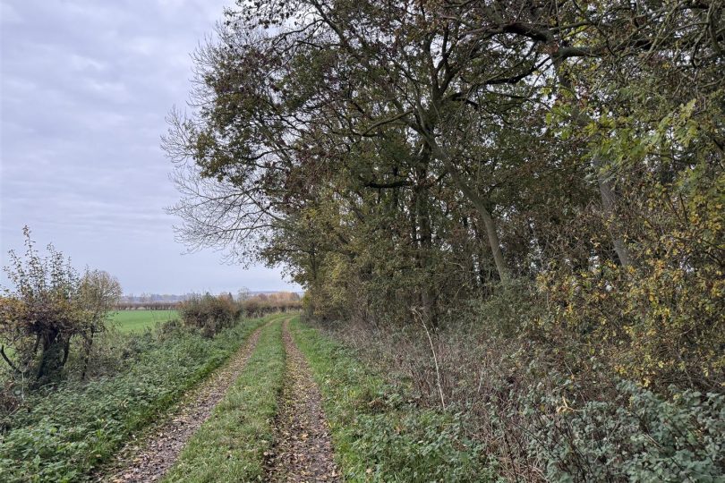 2.64 Acres Woodland – North Kelsey Moor, Market Rasen