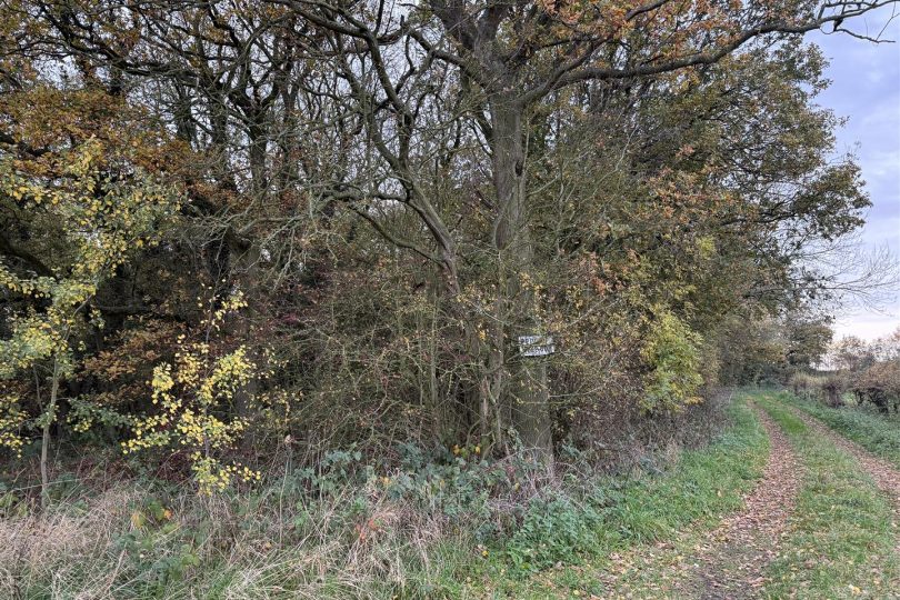 2.64 Acres Woodland – North Kelsey Moor, Market Rasen