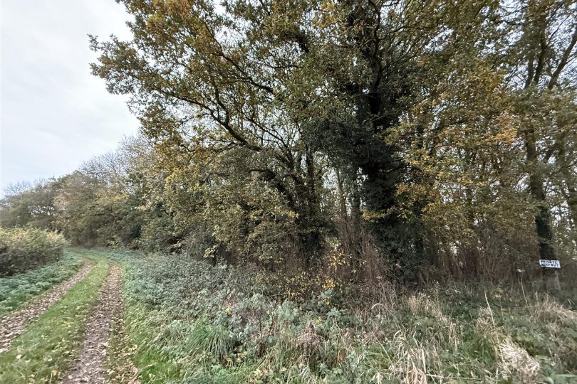 2.64 Acres Woodland – North Kelsey Moor, Market Rasen