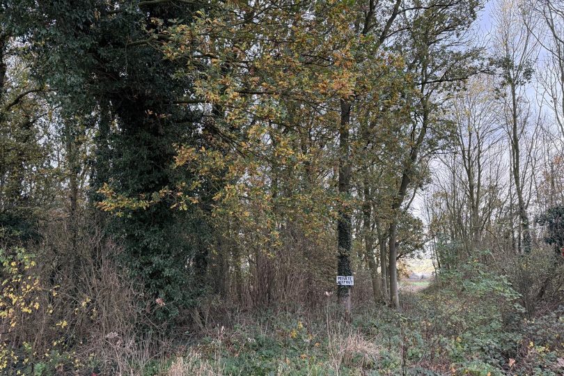 2.64 Acres Woodland – North Kelsey Moor, Market Rasen