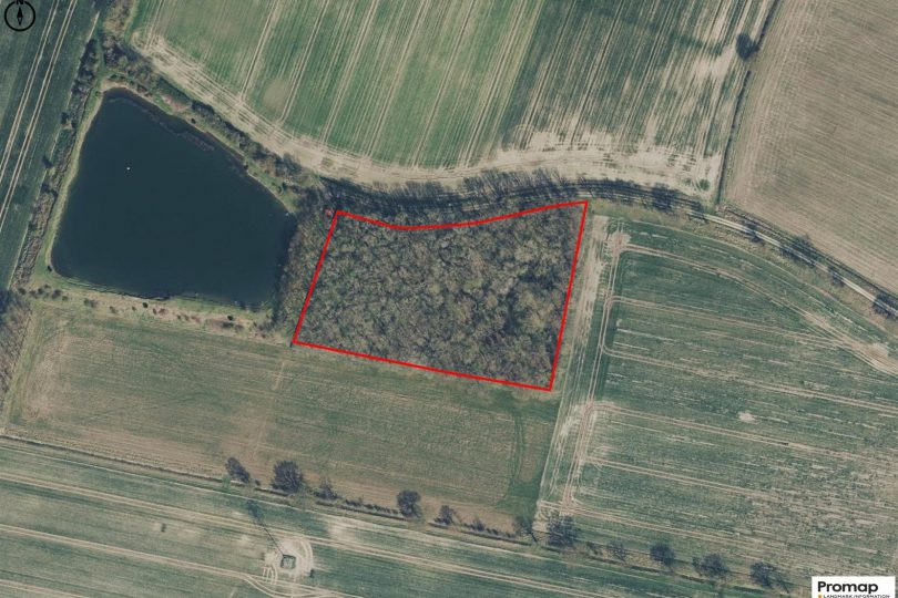 2.64 Acres Woodland – North Kelsey Moor, Market Rasen