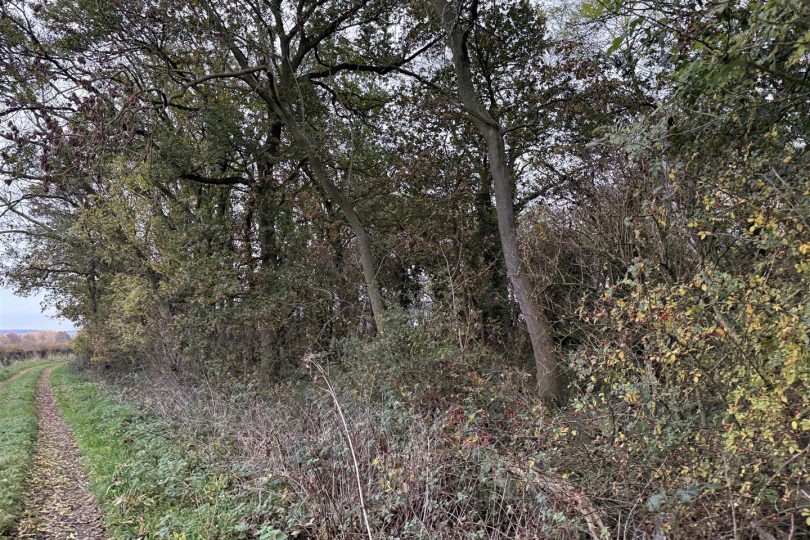 2.64 Acres Woodland – North Kelsey Moor, Market Rasen