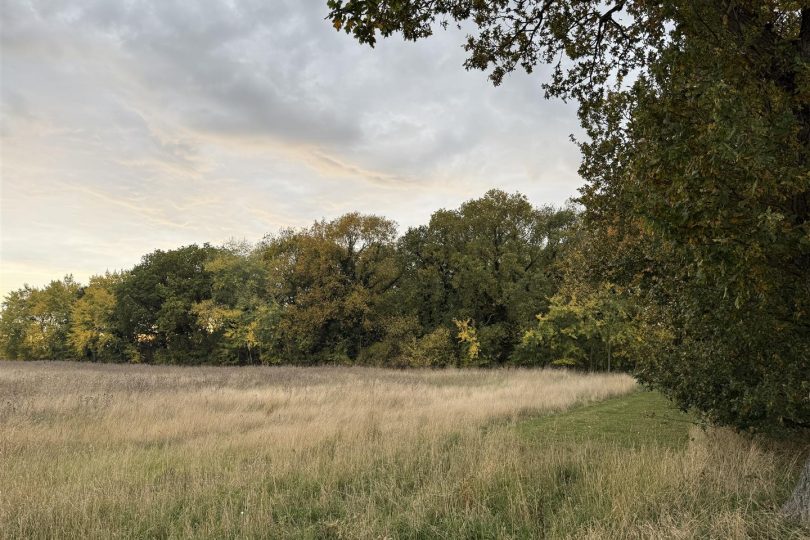 2.64 Acres Woodland – North Kelsey Moor, Market Rasen