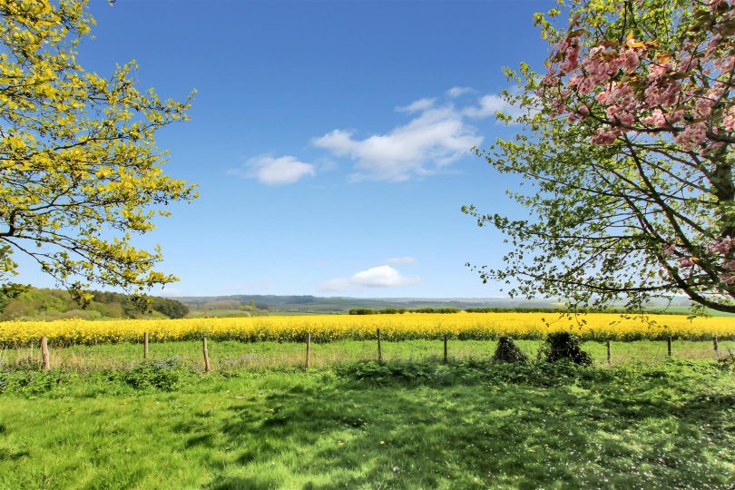 The Green, Market Stainton, Market Rasen