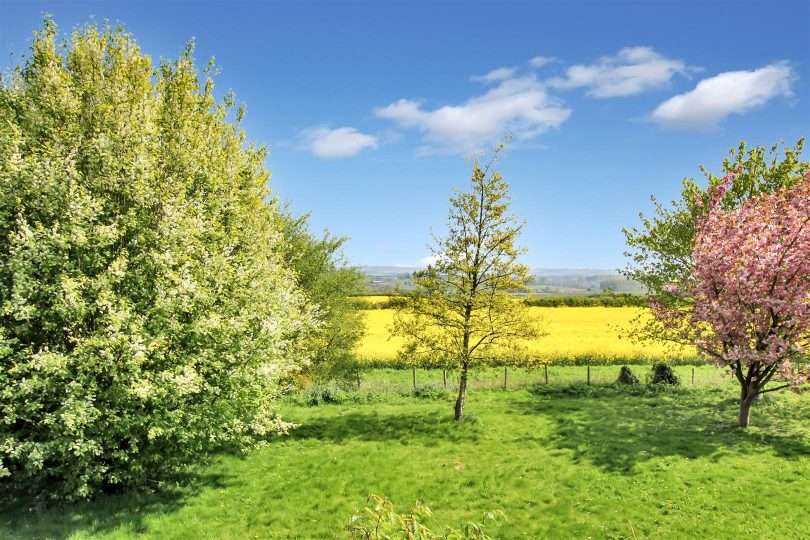The Green, Market Stainton, Market Rasen