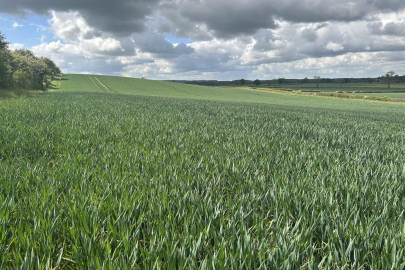Land at Manor Farm, Gamston, Retford