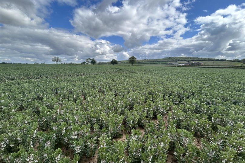 Land at Manor Farm, Gamston, Retford