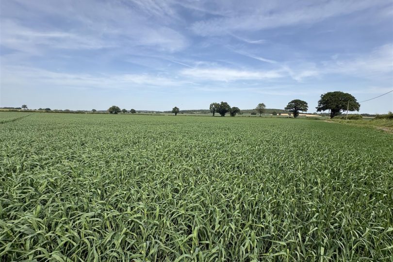 Land at Manor Farm, Gamston, Retford