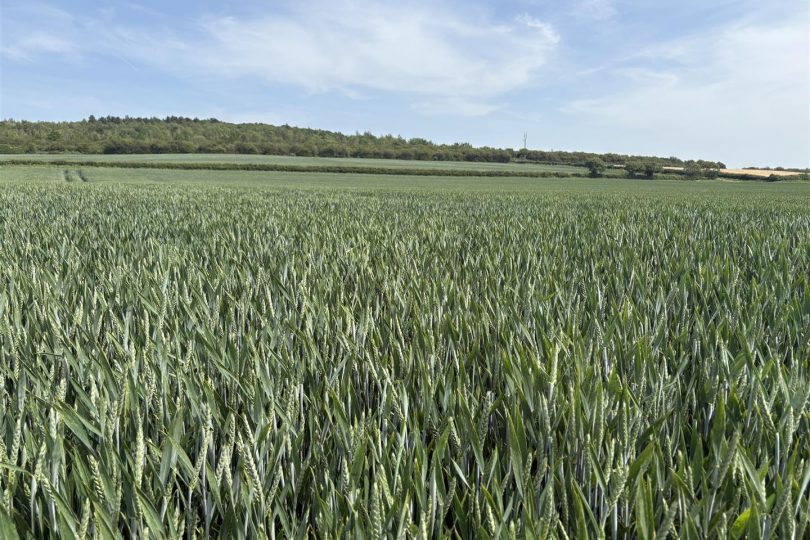 Land at Manor Farm, Gamston, Retford