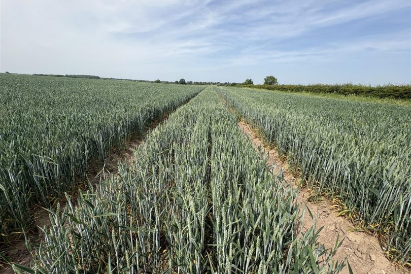 Land at Manor Farm, Gamston, Retford