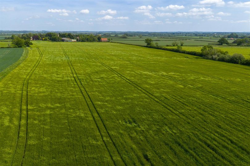61.02 Acres – Land at Langton-by-Wragby, Market Rasen